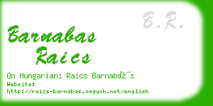 barnabas raics business card